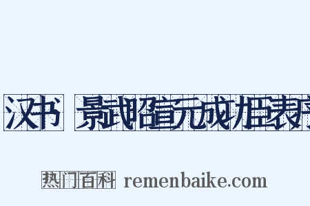 汉书·景武昭宣元成功臣表序是什么意思的图片